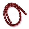 Dyed & Heated Natural Carnelian Beads Strands G-G177-J01-01-3
