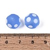 Frosted Handmade Lampwork Beads LAMP-Q039-10G-4