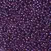 TOHO Round Seed Beads SEED-JPTR08-0928-2