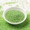 MIYUKI Round Rocailles Beads X-SEED-G009-RR0676-2