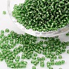 (Repacking Service Available) 8/0  Glass Seed Beads SEED-C014-3mm-27B-1
