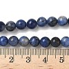 Natural Sodalite Beads Strands X-G-G515-6mm-07-6