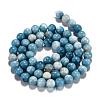 Natural Gemstone Beads Strands G-L367-01-8mm-6
