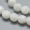 Natural Rainbow Moonstone Beads Strands G-G792-34A-3