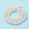 Natural Cultured Freshwater Pearl Beads Strands PEAR-E018-42-3
