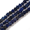 Natural Lapis Lazuli Beads Strands G-G085-B02-01-1