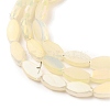 Electroplate Opaque Glass Beads Strands EGLA-J150-A-FR11-3