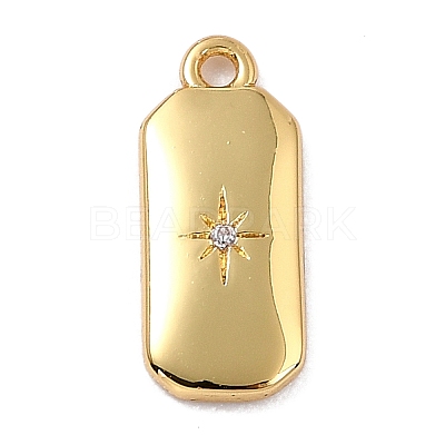 Brass Micro Pave Cubic Zirconia Charms LS-ZIRC-I054-12G-03-1