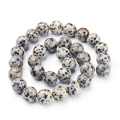 Natural Dalmatian Jasper Beads Strands GSR12mmC004-1