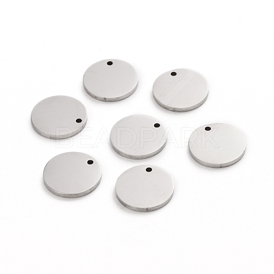 Tarnish Resistant 304 Stainless Steel Charms STAS-I141-03A-P-1