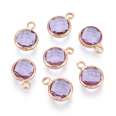 Golden Tone Brass Glass Charms X-GLAA-ZX008-24I-G-1