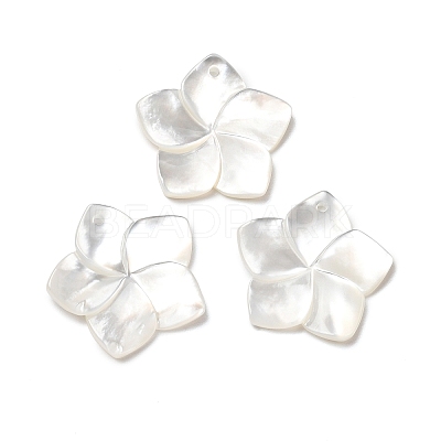 Natural White Shell Mother of Pearl Shell Pendants X-SSHEL-G014-60-1