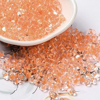 Glass Seed Beads SEED-K009-08A-02-1