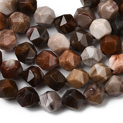 Natural Petrified Wood Beads Strands G-Z119-A21-01-1
