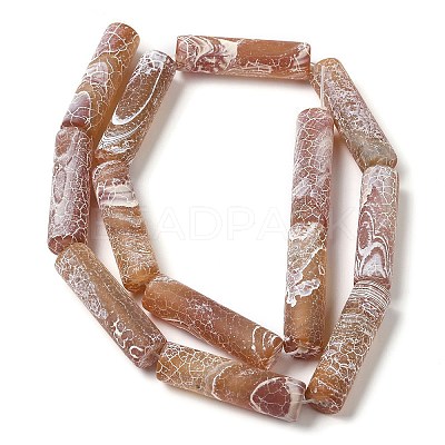 Natural Weathered Agate Beads Strands G-Q169-A04-01-1