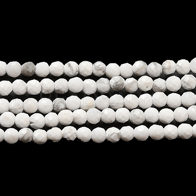Natural Howlite Beads Strands G-E608-A01-A-1