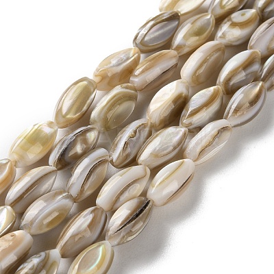 Natural Freshwater Shell Beads Strands SSHEL-B002-13-1