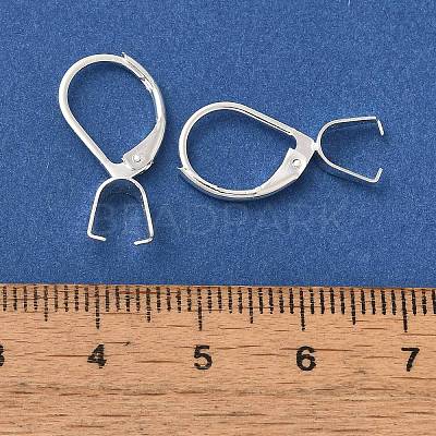 Ion Plating(IP)  304 Stainless Steel Leverback Earring Findings STAS-U025-01S-01-1