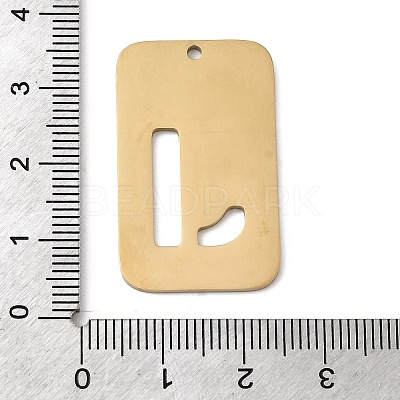 304 Stainless Steel Pendants STAS-D200-01J-G-1