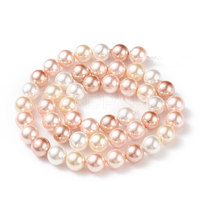 Shell Pearl Bead Strands BSHE-L017-11-1