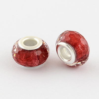 Large Hole Resin European Beads OPDL-R118-04A-1