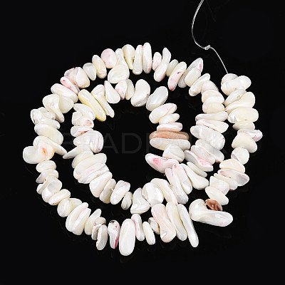 Natural Trochid Shell/Trochus Shell Beads Strands SSHEL-T017-29-1