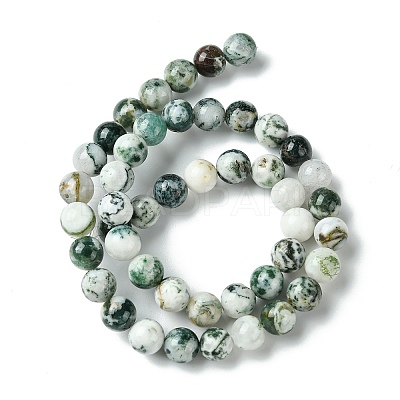 Natural Tree Agate Beads Strands G-K194-8mm-02-1