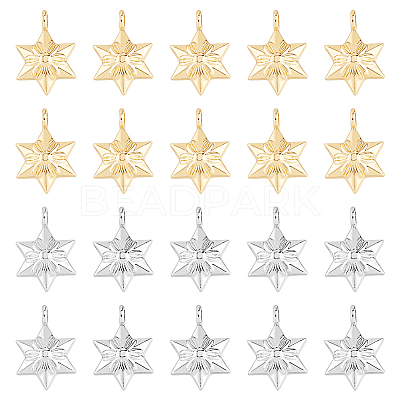 40Pcs 2 Colors Alloy Pendants FIND-DC0005-50-1