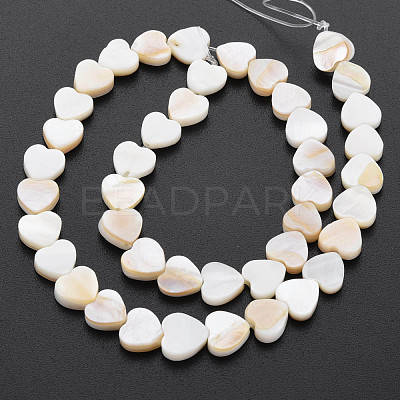 Natural Freshwater Shell Beads Strands SHEL-S276-70-1