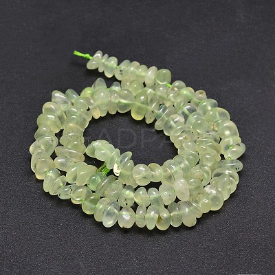 Natural Prehnite Chip Beads Strands G-E271-99-1