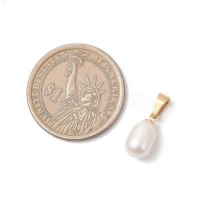 Natural Cultured Freshwater Pearl Rice Charms X-PALLOY-JF04823-1