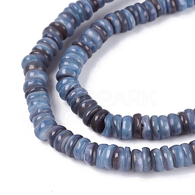 Natural Freshwater Shell Beads Strands SHEL-Q028-01G-1