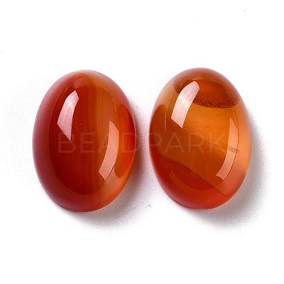 Oval Natural Carnelian Cabochons G-K020-20x15mm-05-1