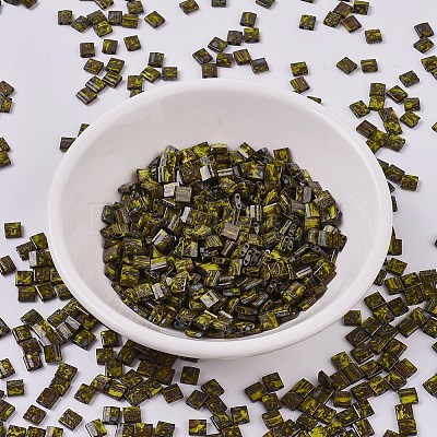 MIYUKI TILA Beads X-SEED-J020-TL4519-1