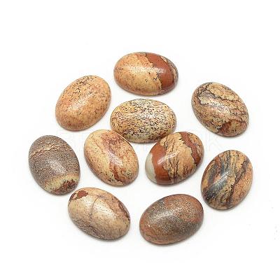 Natural Picture Jasper Cabochons G-R415-8x10-42-1