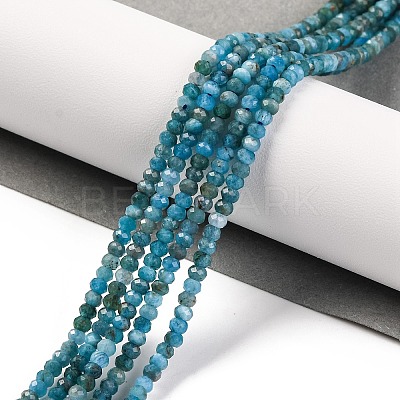Natural Apatite Beads Strands X-G-F770-D09-02B-1