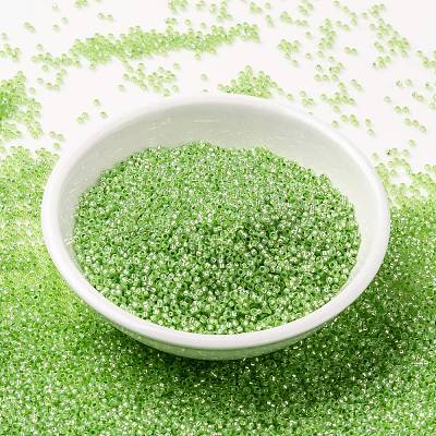 MIYUKI Round Rocailles Beads X-SEED-G009-RR0676-1