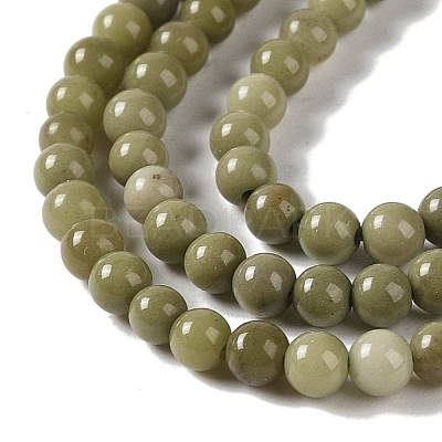 Natural Alashan Agate Beads Strands G-P530-B05-01-1