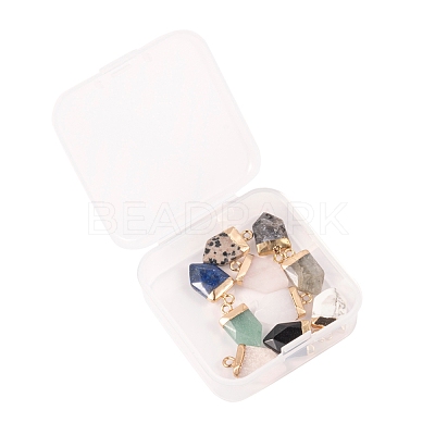 10Pcs 10 Style Natural Gemstone Pointed Pendants G-LS0002-04-1