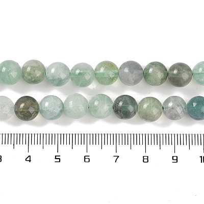 Natural Fluorite Beads Strands G-P530-B04-03-1