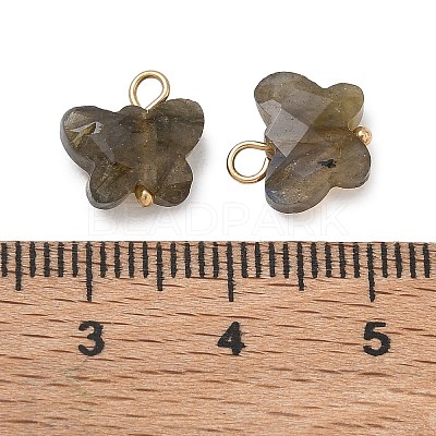 Natural Labradorite Pendants KK-D289-61G-05-1