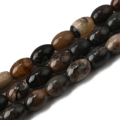Natural Petrified Wood Beads Strands G-K362-I11-02-1