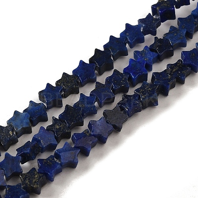 Natural Lapis Lazuli Beads Strands G-G085-B02-01-1