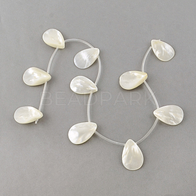 Natural Sea Shell Beads Strands X-SSHEL-Q296-01-1