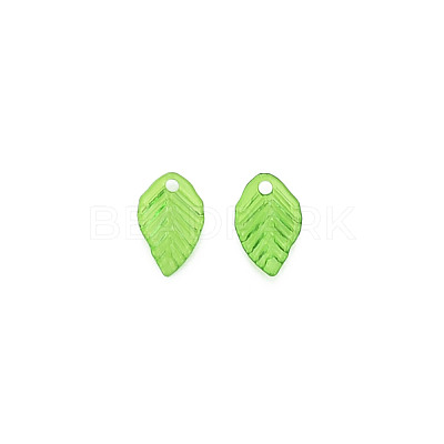 Transparent Acrylic Charms TACR-T012-04-1