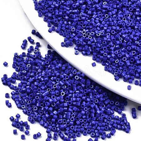 FGB 11/0 Grade A Glass Seed Beads X-SEED-S030-1024-1