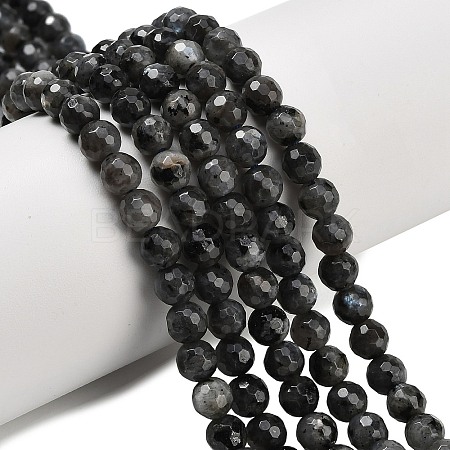 Natural Larvikite Beads Strands G-C280-B06-6mm-1