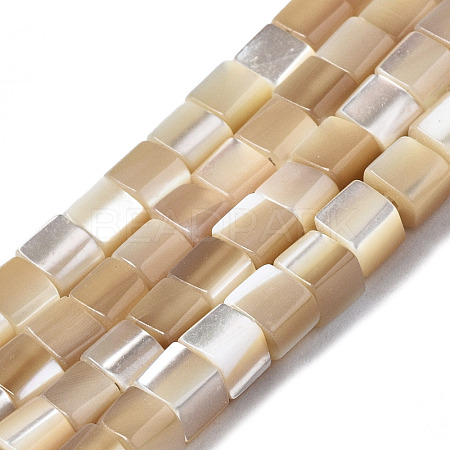 Natural Trochid Shell/Trochus Shell Beads Strands SSHEL-S266-009-1