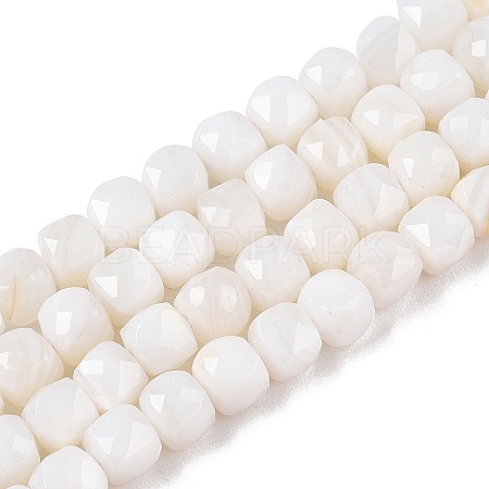 Natural White Shell Beads Strands SSHEL-N038-60-1