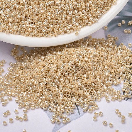 MIYUKI Delica Beads SEED-X0054-DB1561-1